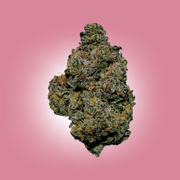 AAA Premium Exotic  Gelato 28 Gram