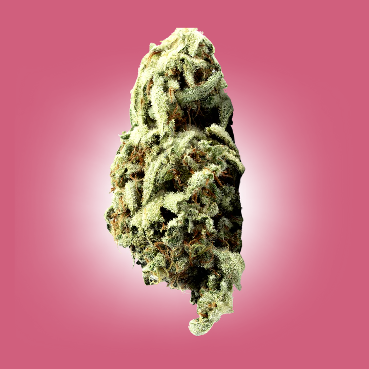 High Grade AAA exotic flower