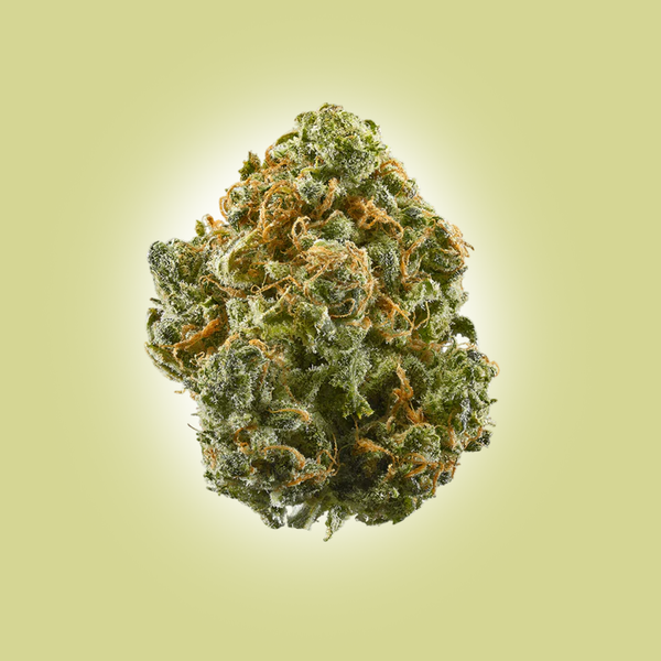 Top Shelf 1g Flower (20ct)