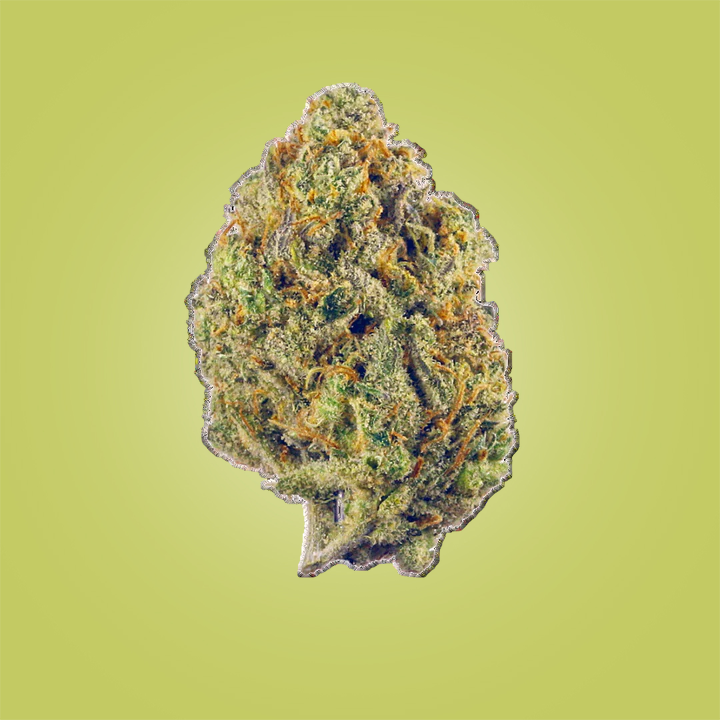 Lemon Haze Green House Flower (Indica)